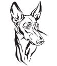 Decorative portrait of Cirneco dell`Etna Dog vector illustration