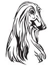 Decorative portrait of Dog Afghan Hound vector illustration Royalty Free Stock Photo