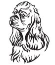 Decorative portrait of Dog American Cocker Spaniel vector illustration