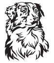 Decorative portrait of Dog Australian shepherd vector illustrati