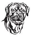Decorative portrait of Dog Dogue de Bordeaux vector illustration Royalty Free Stock Photo