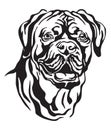 Decorative portrait of Dog Dogue de Bordeaux vector illustration