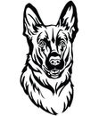 Decorative portrait of Dog Shepherd vector illustration Royalty Free Stock Photo