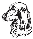 Decorative portrait of Dog Irish Setter vector illustration