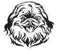 Decorative portrait of Dog Pekingese vector illustration