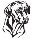 Decorative portrait of Dog Rhodesian Ridgeback vector illustration