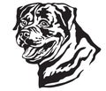 Decorative portrait of Dog Rottweiler vector illustration