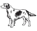 Decorative portrait of Dog Small Munsterlander vector illustration