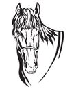 Decorative portrait of horse vector illustration 5 Royalty Free Stock Photo