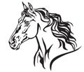 Decorative portrait of horse vector illustration 8 Royalty Free Stock Photo