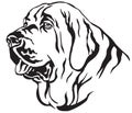Decorative portrait of Spanish Mastiff vector illustration Royalty Free Stock Photo