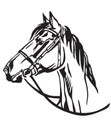 Decorative portrait of horse vector illustration 3 Royalty Free Stock Photo