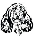 Decorative portrait of Springer Spaniel Dog vector illustration
