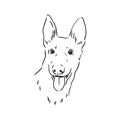 Decorative portrait of standing in profile Belgian Shepherd Groenendael, vector isolated illustration in black color on Royalty Free Stock Photo