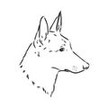 Decorative portrait of standing in profile Belgian Shepherd Groenendael, vector isolated illustration in black color on Royalty Free Stock Photo