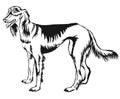 Decorative standing portrait of Persian Greyhound Saluki vecto