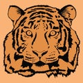 Portrait of tiger