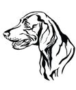 Decorative portrait of Weimaraner Dog vector illustration