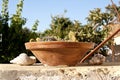 Decorative pot with cactus Royalty Free Stock Photo