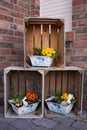 Decorative pots with spring flowers in wooden boxes. Original garden decor.