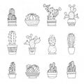 Decorative potted cacti. Vector set of hand-drawn sketched elements