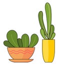 Decorative potted plants. Vector illustration of decorative green plants in pots on white bsckground Royalty Free Stock Photo