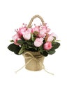 Decorative Potted Plastic Flowers