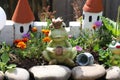 Decorative princess frog by the pond in the garden