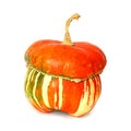 Decorative Pumpkin