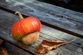 Decorative pumpkin and a dried sprig of hops on an old wooden table for design on the theme of autumn, harvest