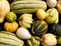 Decorative pumpkins