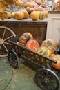 Decorative Pumpkins, Halloween Decor In Moscow City. Harvest, Garden Decoration In GUM, Moscow City. Shop Ornament With Gourd,