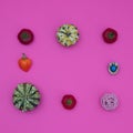 Decorative pumpkins, red peppers, blue ladybugs and a decorative item on a pink background