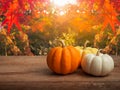 Decorative pumpkins on a rustic wooden table in autumn concept Royalty Free Stock Photo