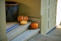 Decorative pumpkins and squash on front porch near pot or vase on steps or stairs entrance in afternoon shade