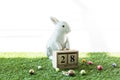 Rabbit, wooden calendar with 28 April date, and colorful Easter eggs on green grass isolated on white