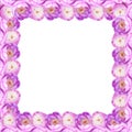 Decorative rectangular frame made of pink peonies flowers. Border photo collage. Royalty Free Stock Photo