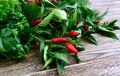 Decorative red chili peppers on the branches on a wooden background. Organic fresh spices. Close-up Royalty Free Stock Photo