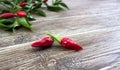 Decorative red chili peppers on the branches on a wooden background. Organic fresh spices. Close-up Royalty Free Stock Photo