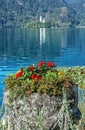 Decorative red flowers, Lake Bled, Slovenia Royalty Free Stock Photo