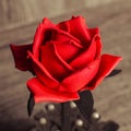 Decorative red rose handmade. Only red tones.