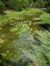 Decorative reservoir in park