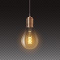 Decorative retro edison light bulb isolated on transparent background. Vintage lamp design