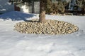 Decorative rock ground cover circle under a spruce tree