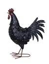 Decorative rooster on White Background