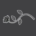 Decorative rose with long stem. Vector flower silhouette Royalty Free Stock Photo