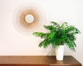 Decorative round mirror and parlor palm plant on a dresser