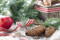 Decorative rustic Christmas setting