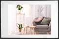 Decorative sansevieria plants in interior of room Royalty Free Stock Photo