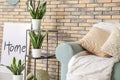 Decorative sansevieria plants in interior of room Royalty Free Stock Photo